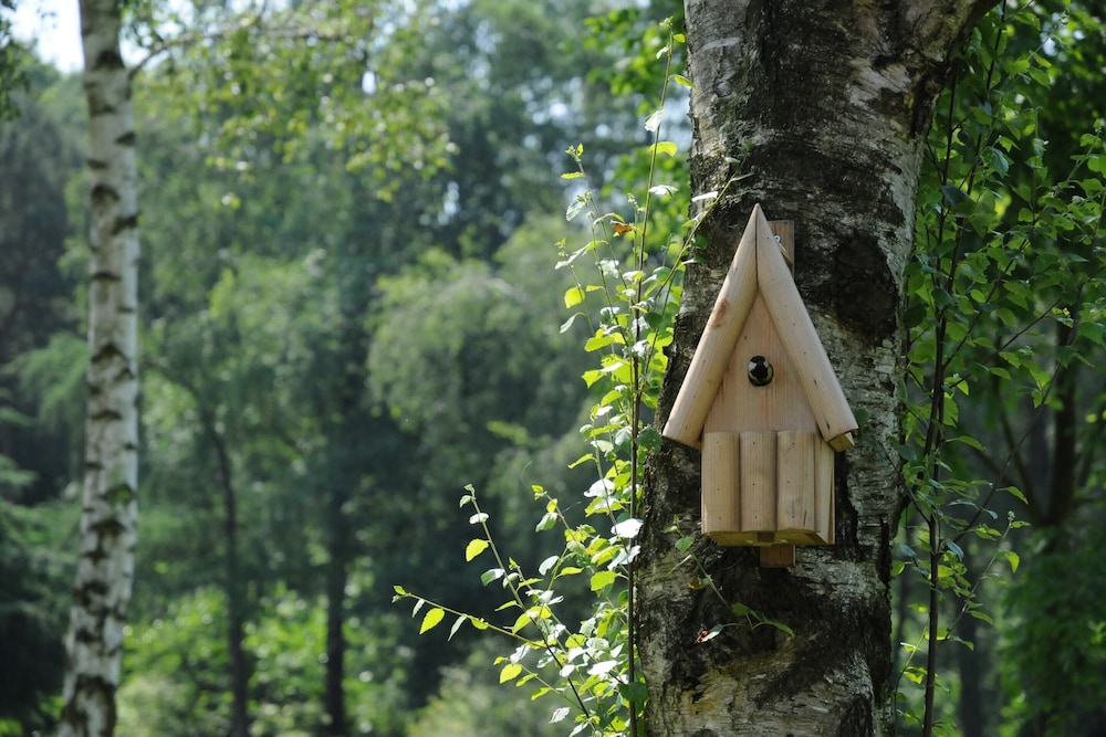 Holiday Home in Heeten Near Forest