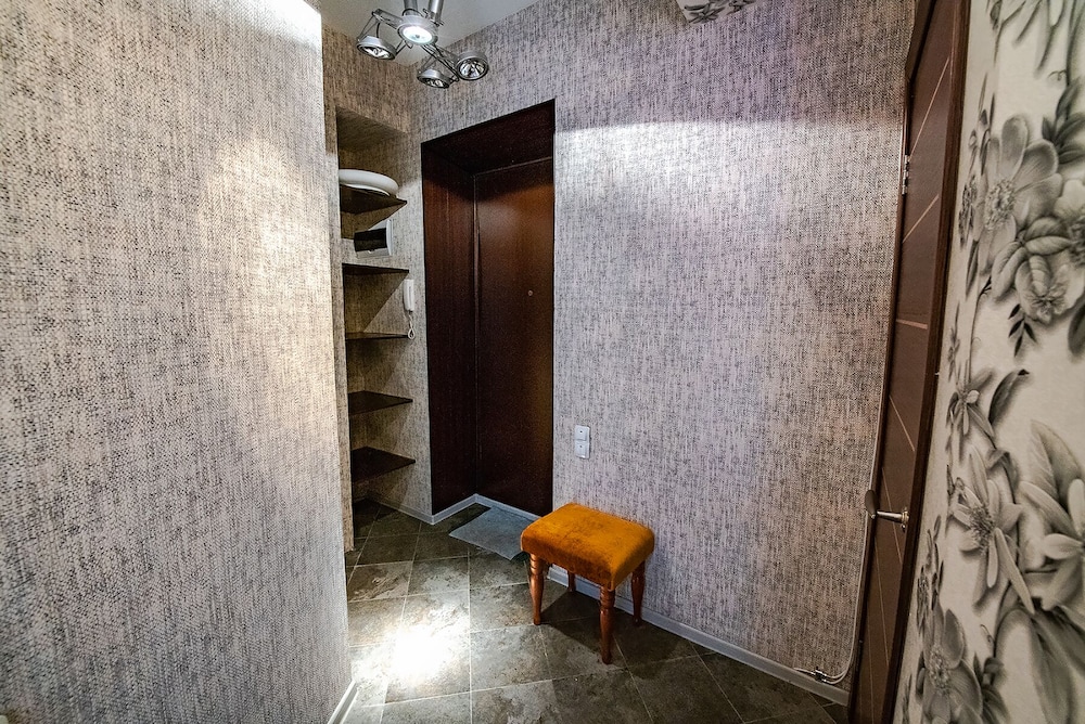 Apartment on Pushkinskaya 18 view 2