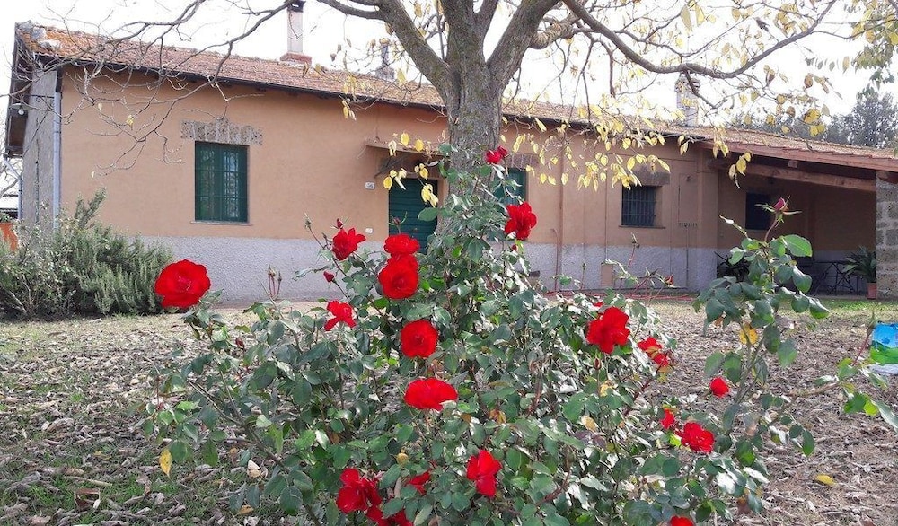 Photo 27