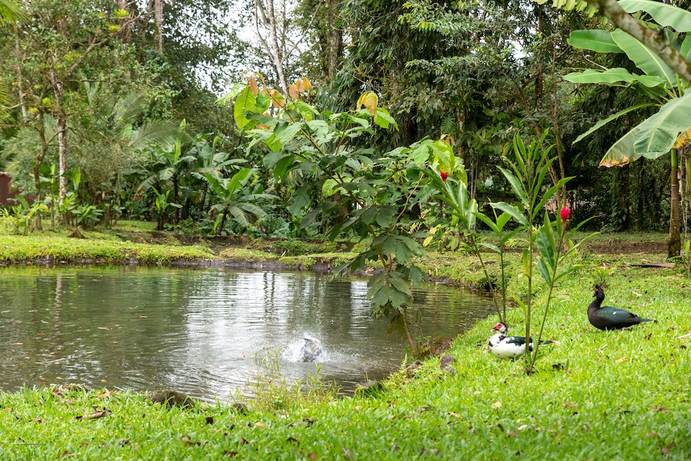 Villa el Bosque La Fortuna
