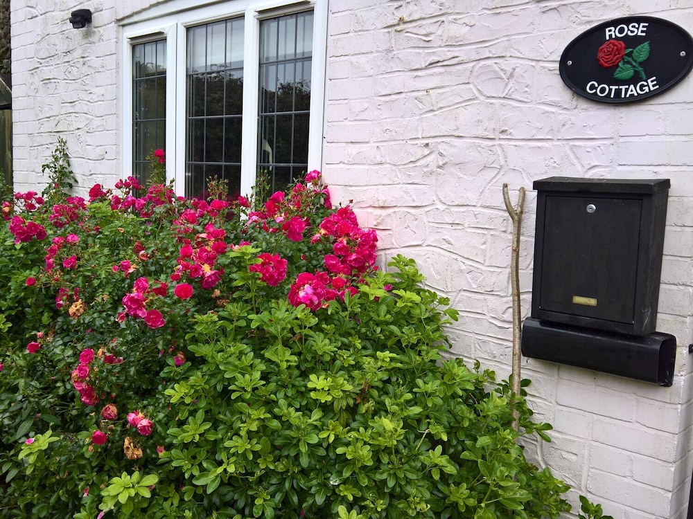 Rose Cottage