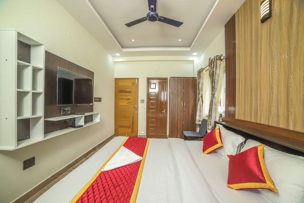 AVJ Nest view 3
