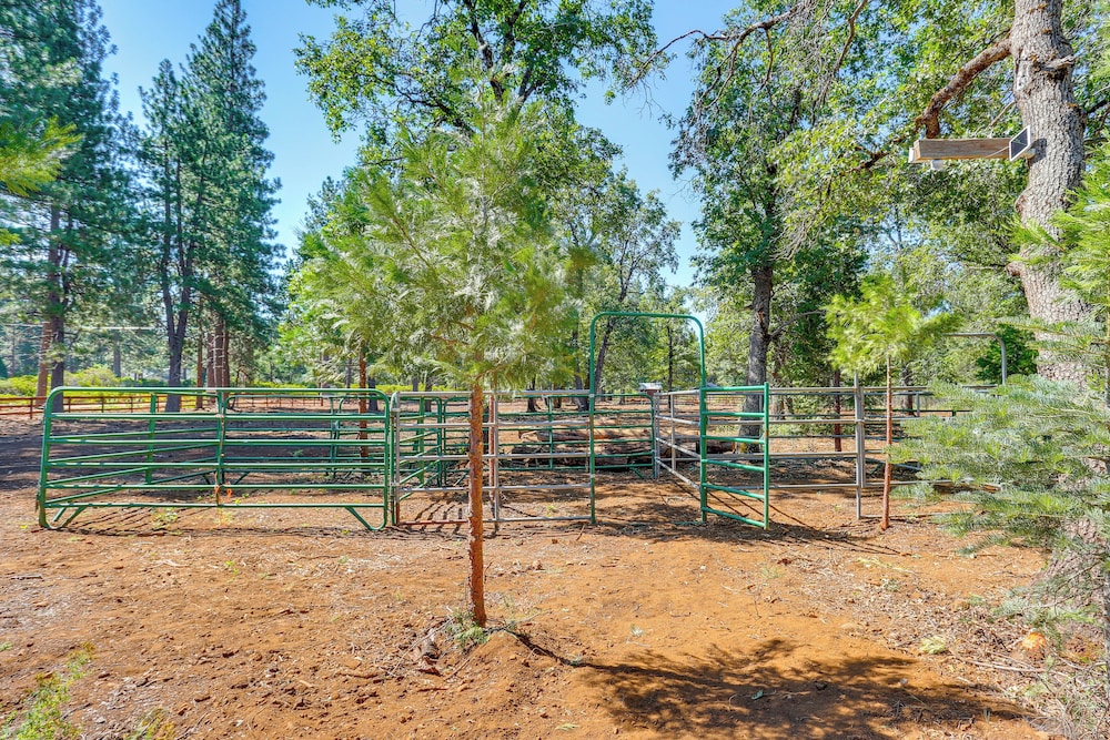 Private Horse Stall: Unplug at Shingletown Home!