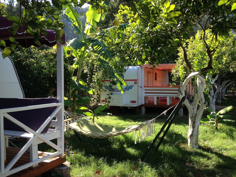 Bellerofon Camping
