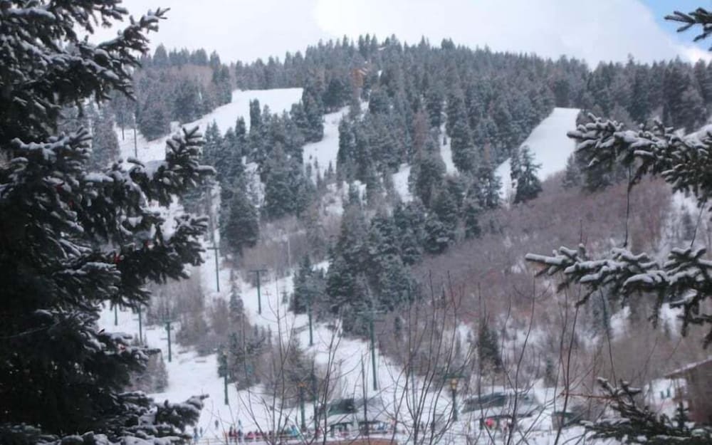 Powder Run C13 2 Bedroom Condo