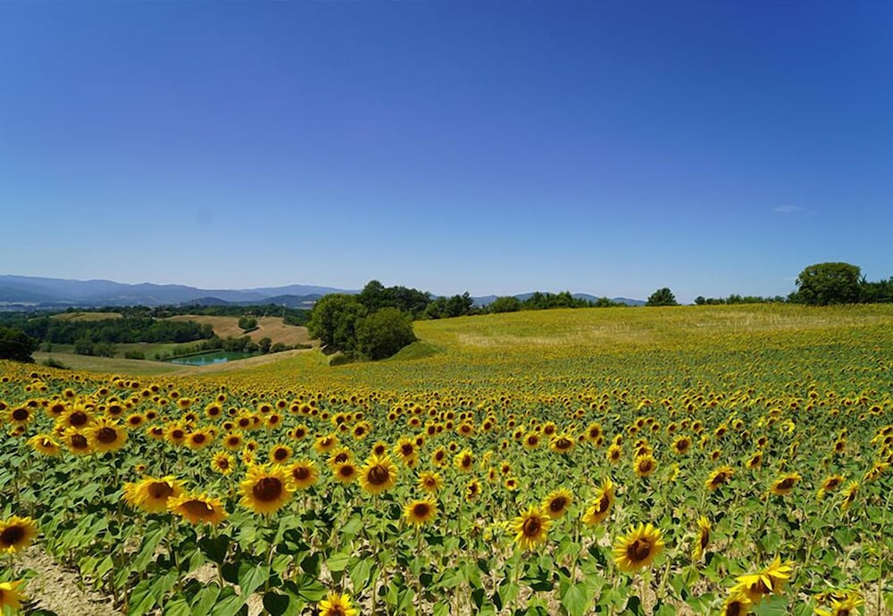 B&B Il Sarale
