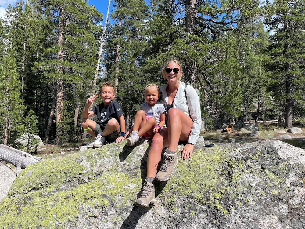Yosemite Bug Rustic Mountain Resort