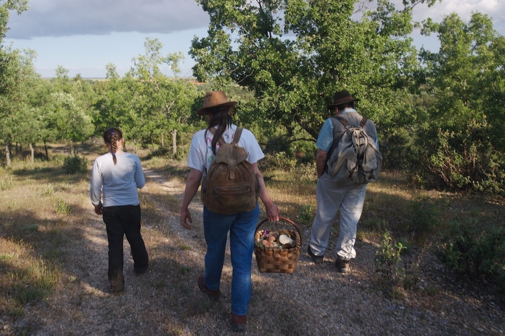 Hotel Restaurante Quintanares - Property Image 22