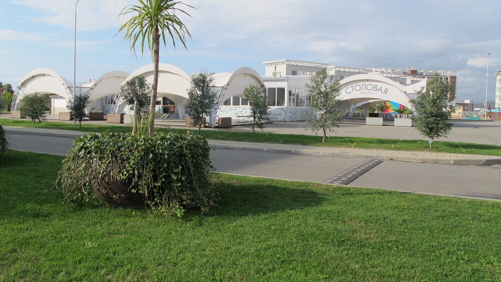 Photo 6