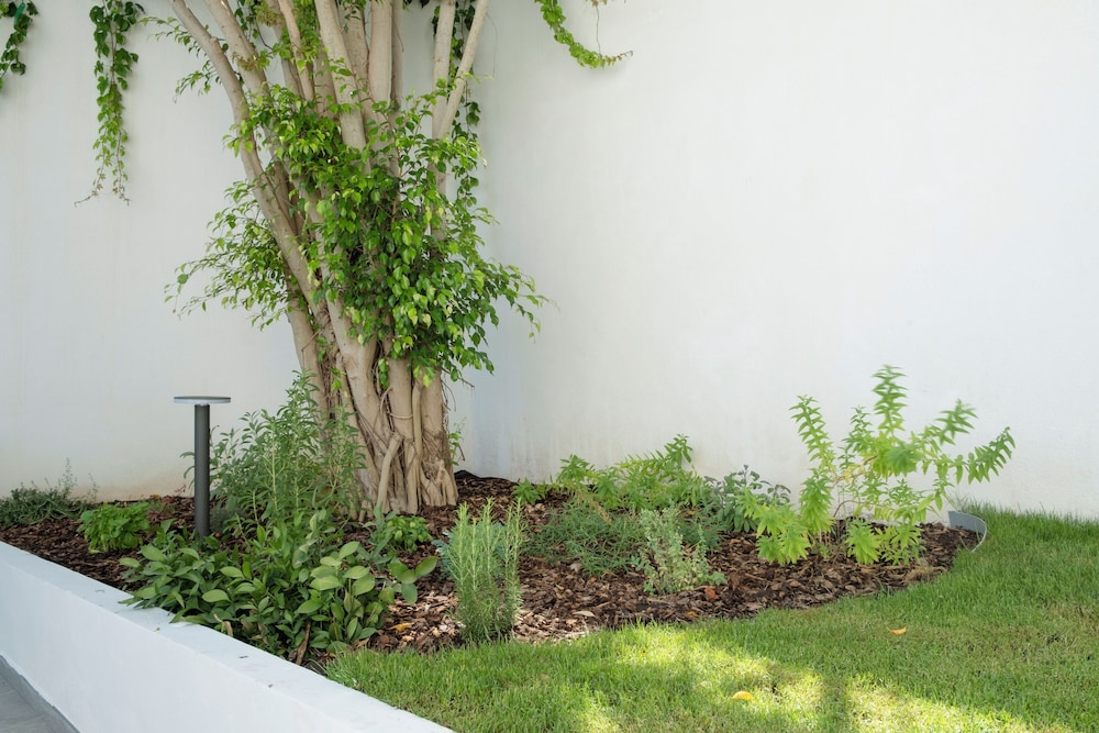 Addaura Marina Apartment by Wonderful Italy