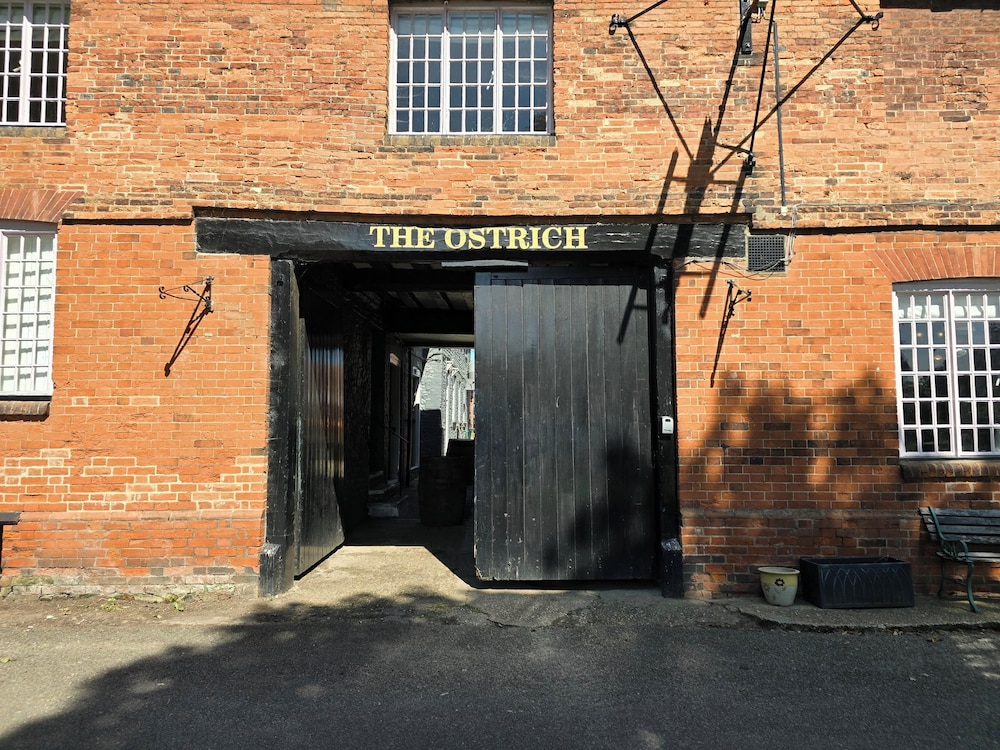 The Ostrich