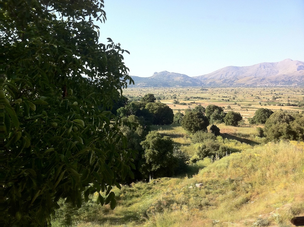 Dionysus Lasithi Plateau