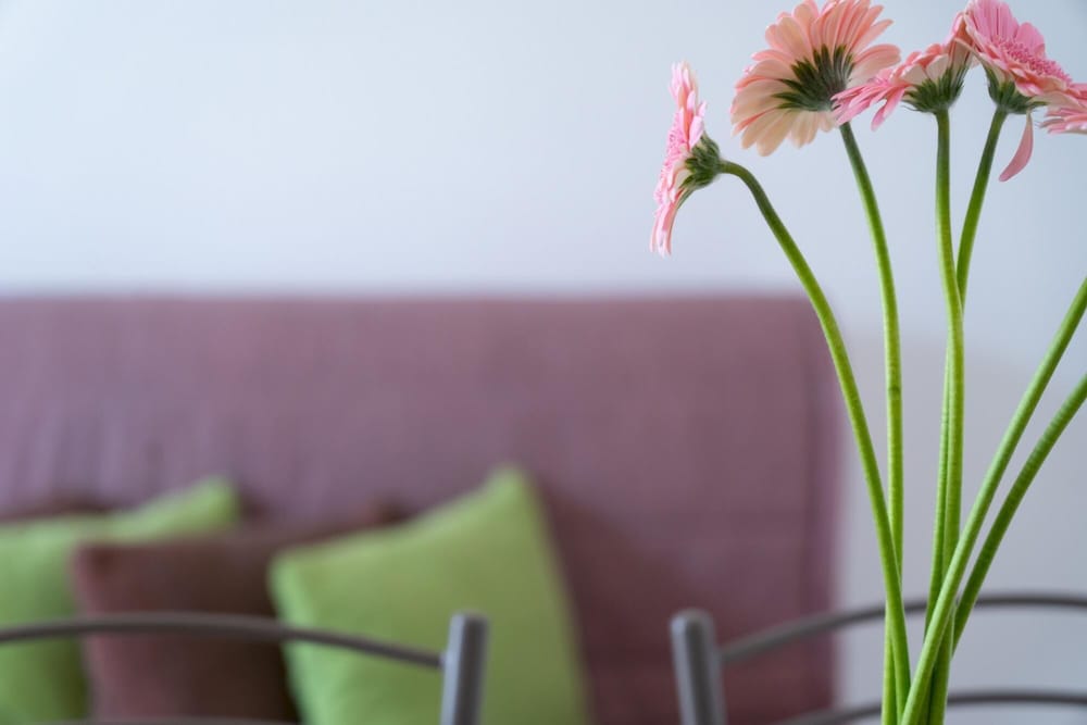 Appartamento 69 in Casalabate view 5