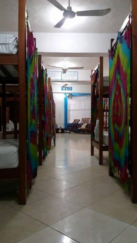 Hostelito Hostal