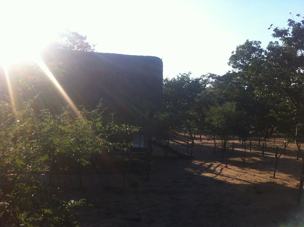 Lion Roars Lodge
