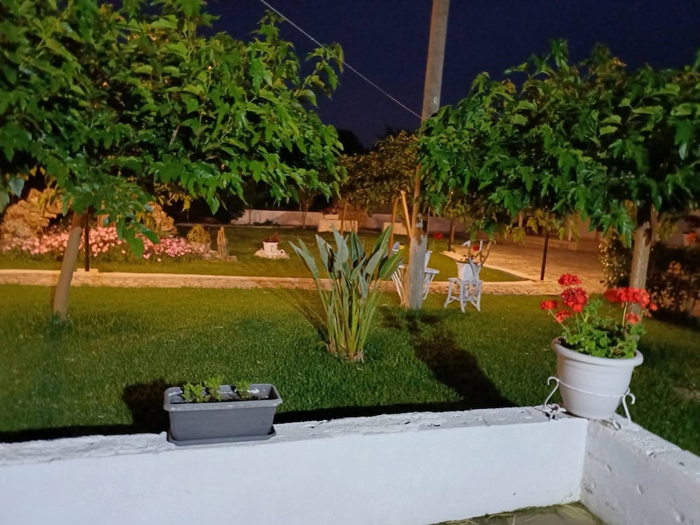 Photo 54