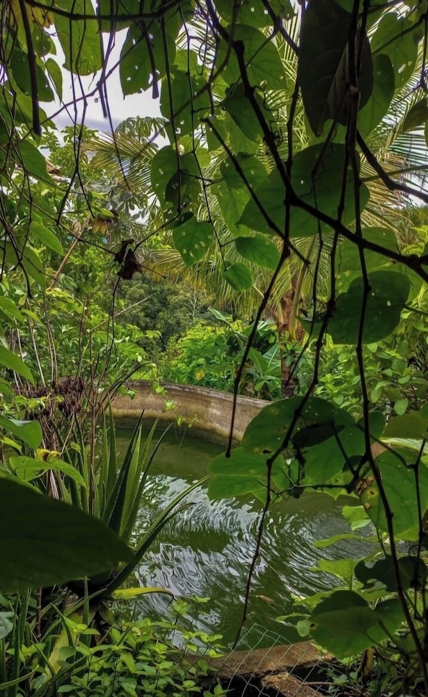 Chalé na Roça Penedo