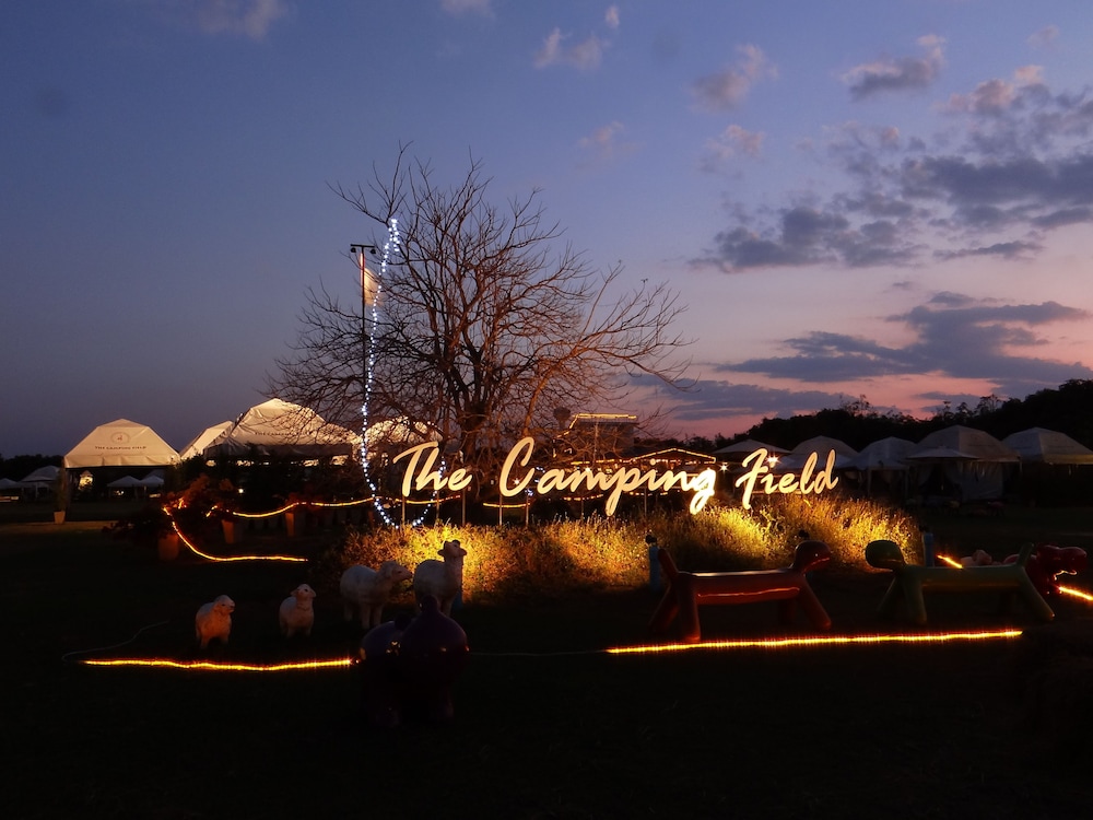 The Camping Field