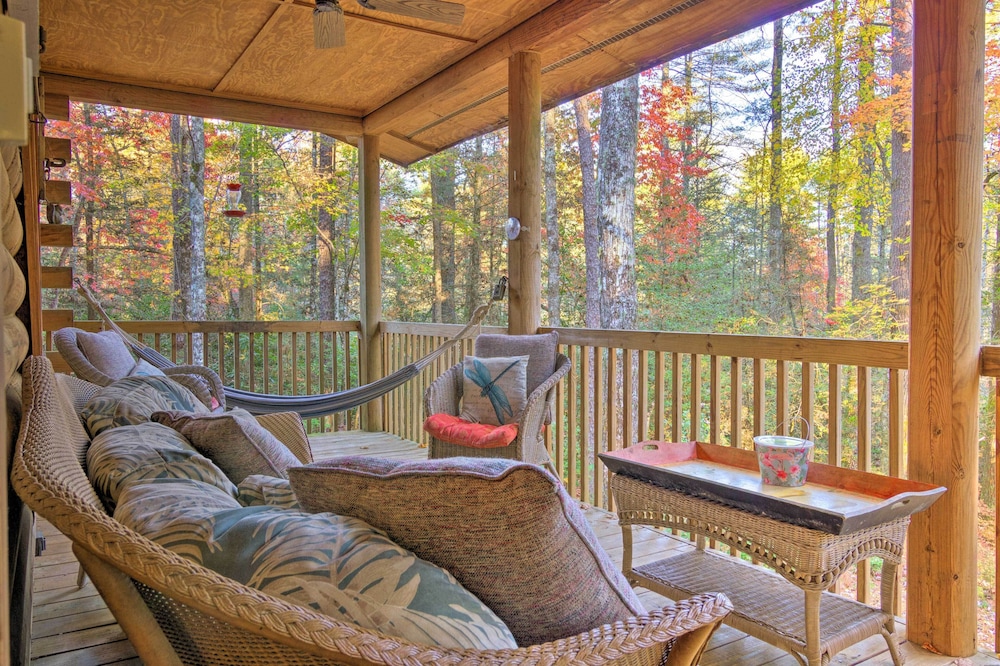 Cedar Mountain Log Cabin: 4 Mi Dupont State Forest view 4
