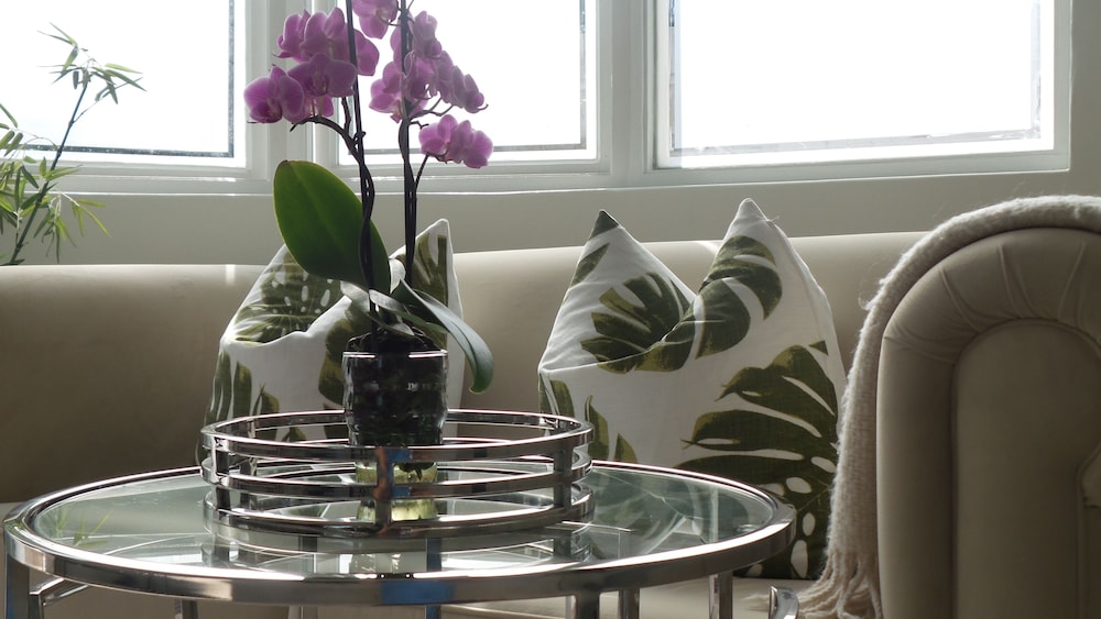 Melrose Executive Suites