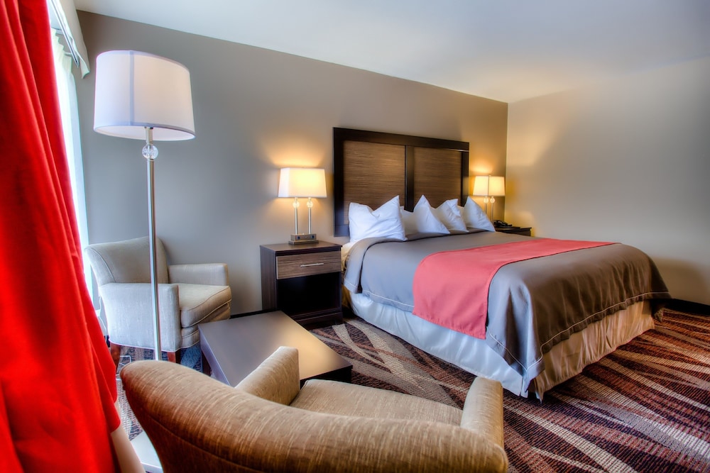 The Beaucatcher – A Boutique Motel, photo 53