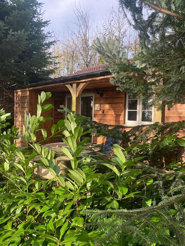 Hayne Barn Estate - Private Estate : 6 Eco Lodges - 1 Studio