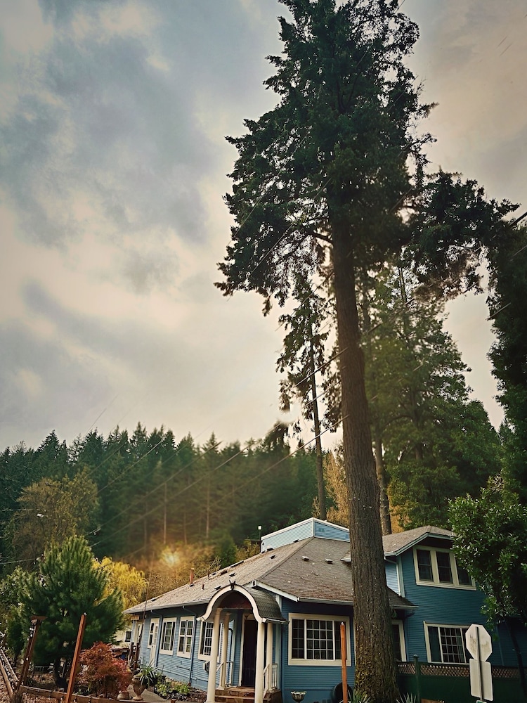 Westfir Lodge & Mountain Market