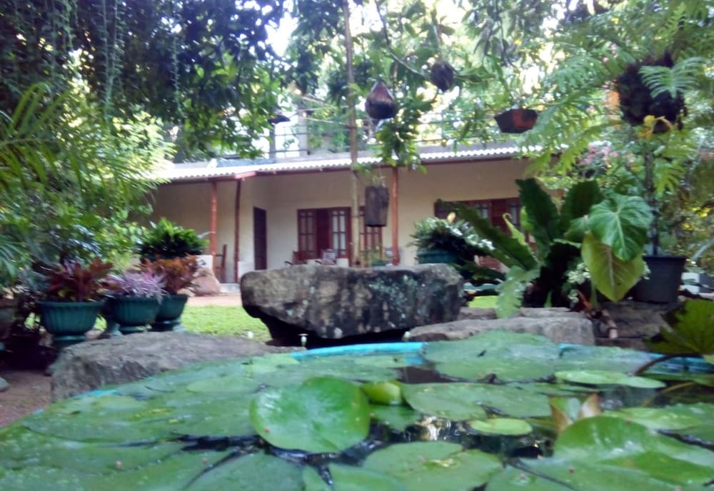 Photo 25