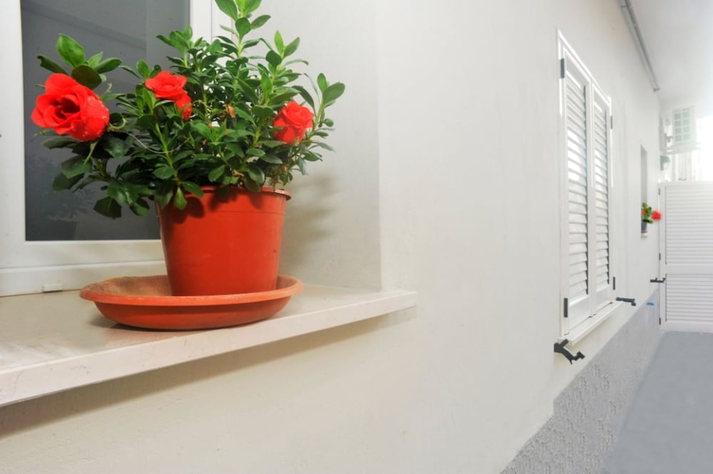 Mini Hotel Peperoncino Palace