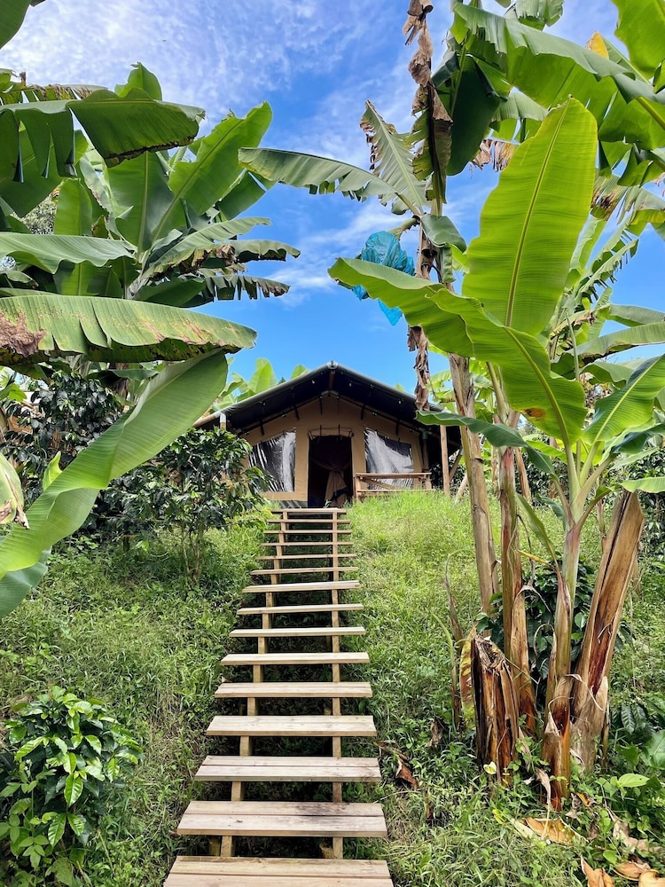 Glamping Jardín