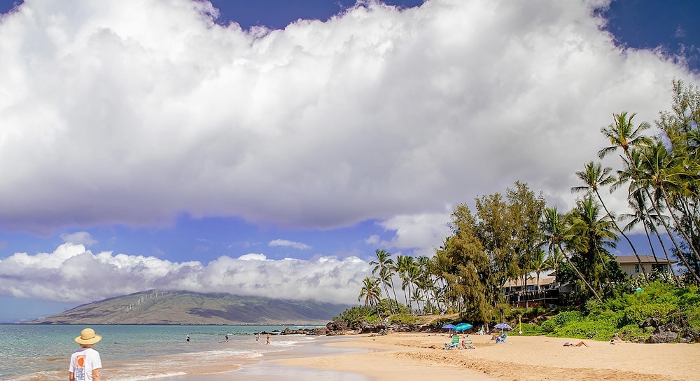 Maui Vista 1-308 - Steps From the Beach, Renovated, Ocean Views, New Windows, AC