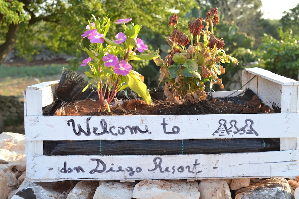 Don Diego Resort