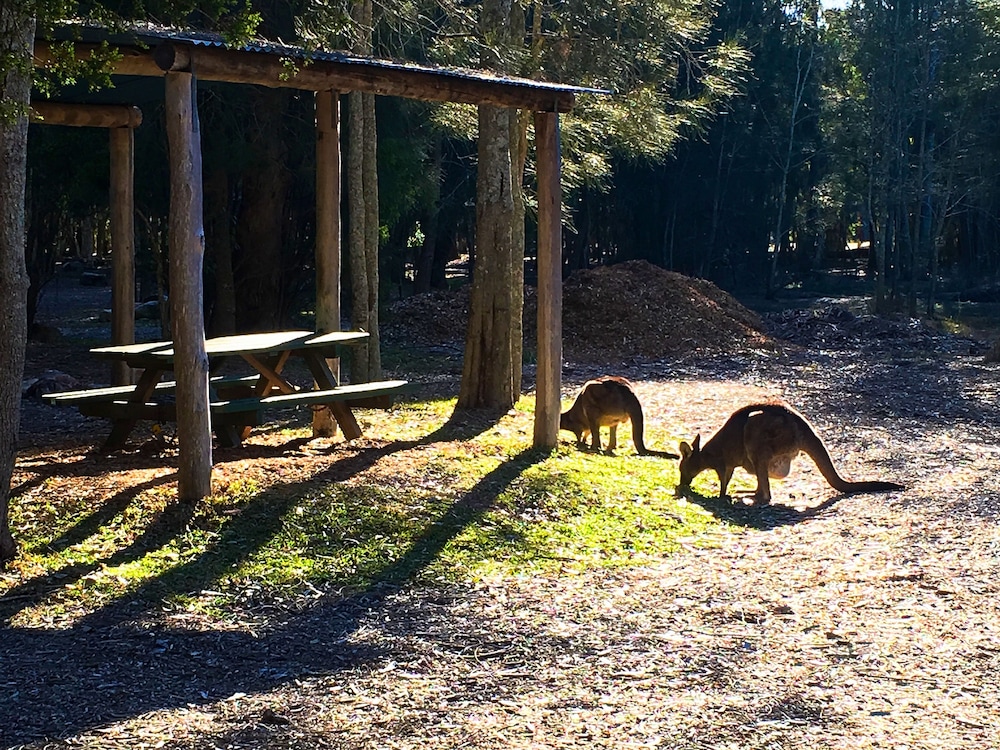Jervis Bay Cabins & Hidden Creek Campsite