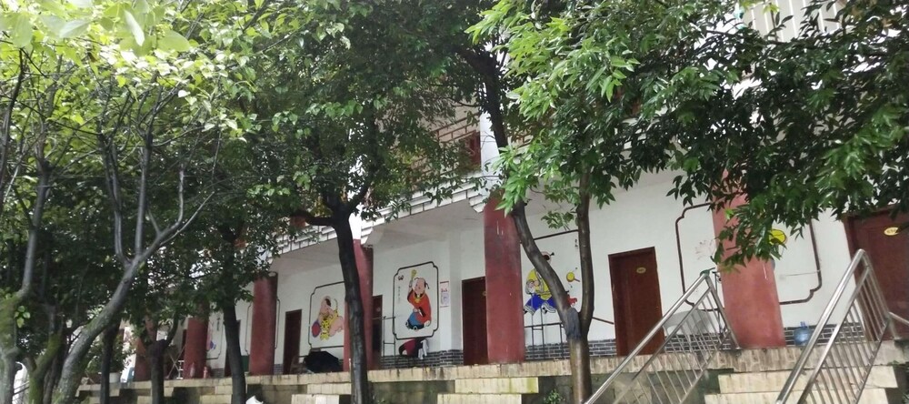 Photo 11