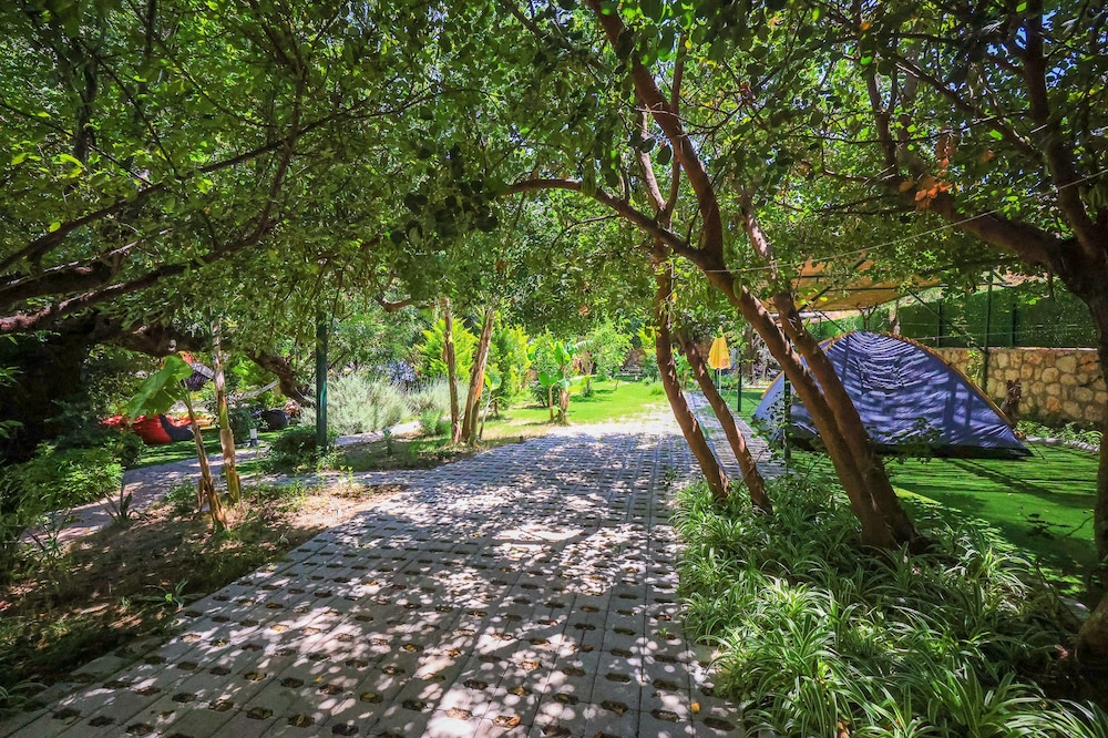 Harnup Apart - Image 50