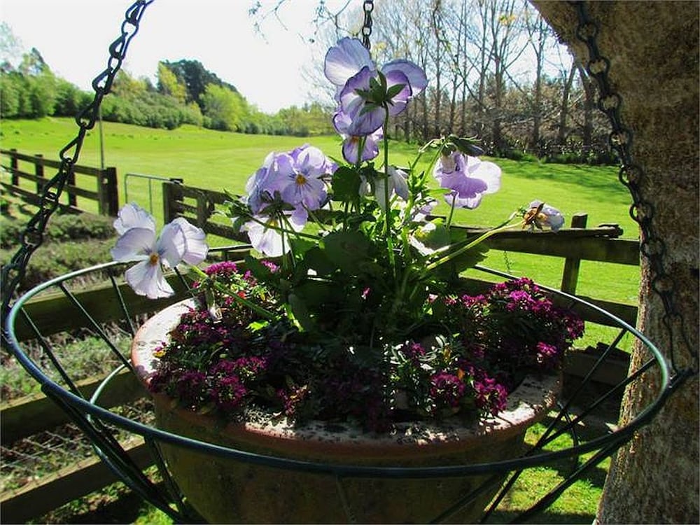Christchurch City & Country Cottages - Nut Point Cottage