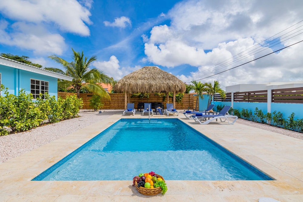 House of Joy Palapa Pool Near Eagle Beach