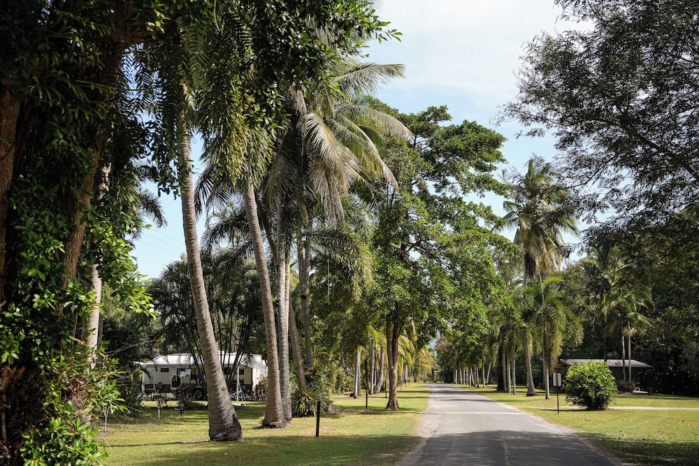 Daintree Beach Resort