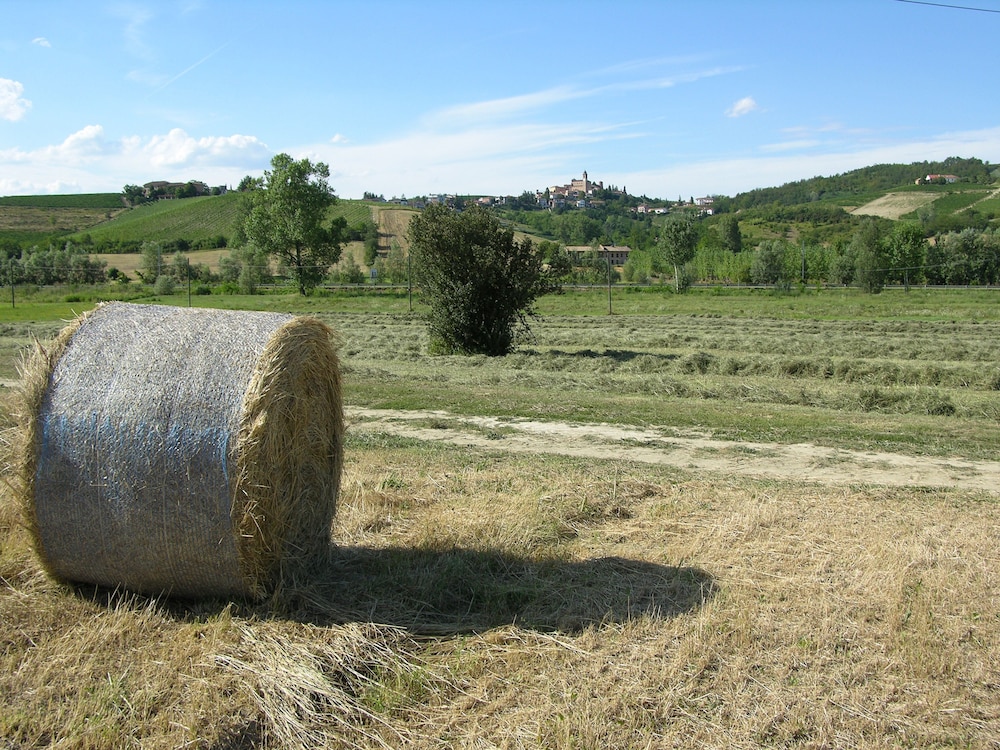 Photo 47