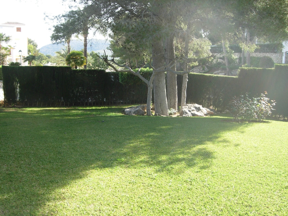 Photo 19