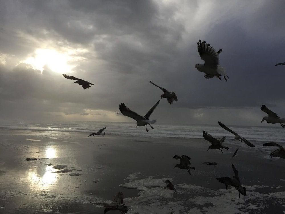 Rockaway Shores