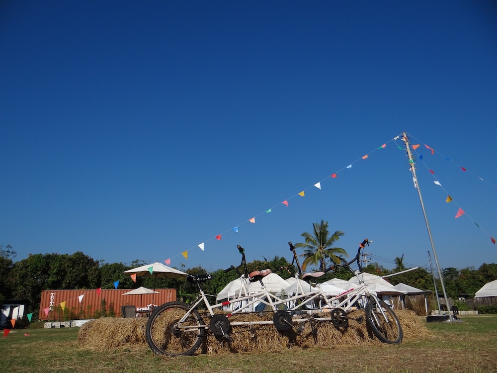 The Camping Field