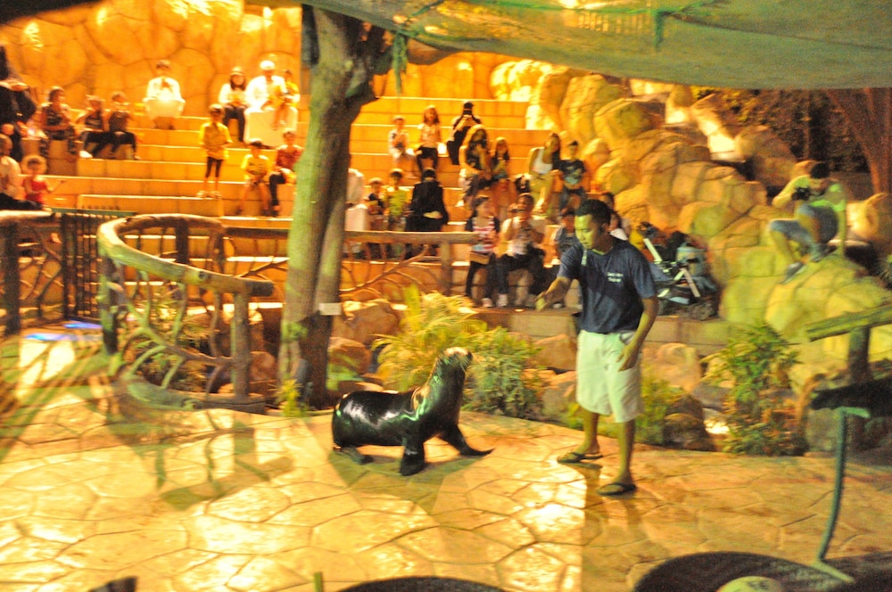Abu Dhabi Vacations - Emirates Park Resort - Property Image 3