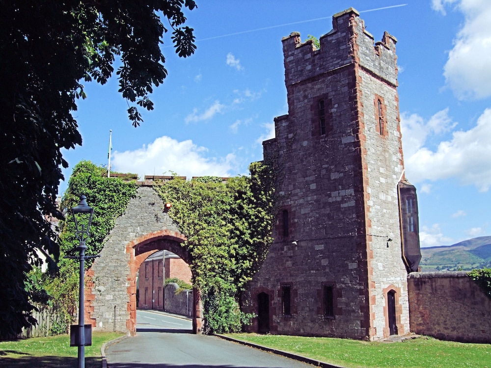Photo 20