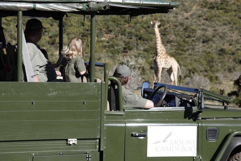 Mount Camdeboo Private Game Reserve by NEWMARK