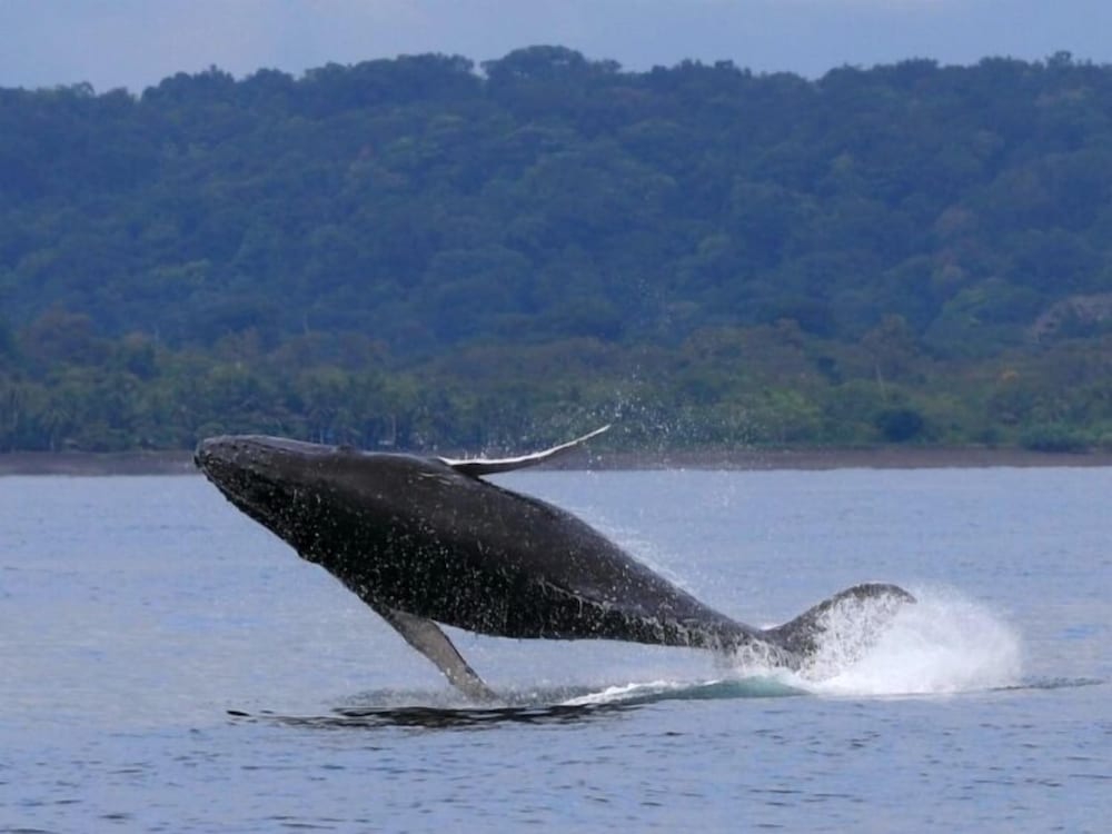 Lodge El Amargal Reserva Natural, Ecoturismo & Surf