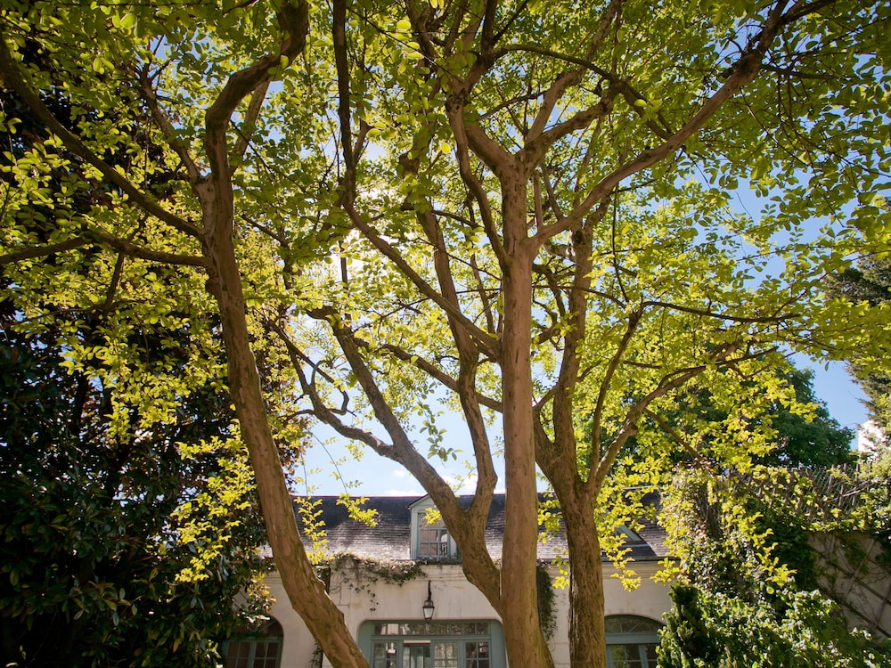 La Maison Jules