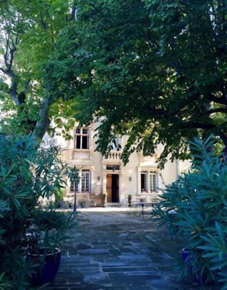 Photo 8
