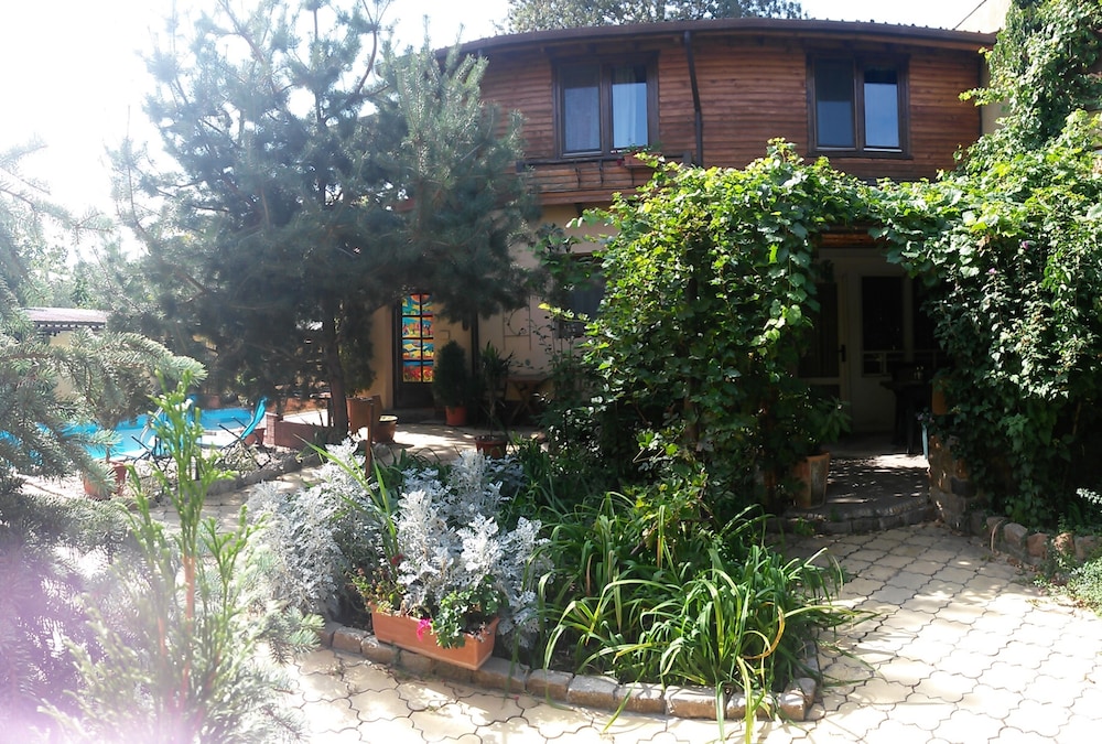 Photo 42