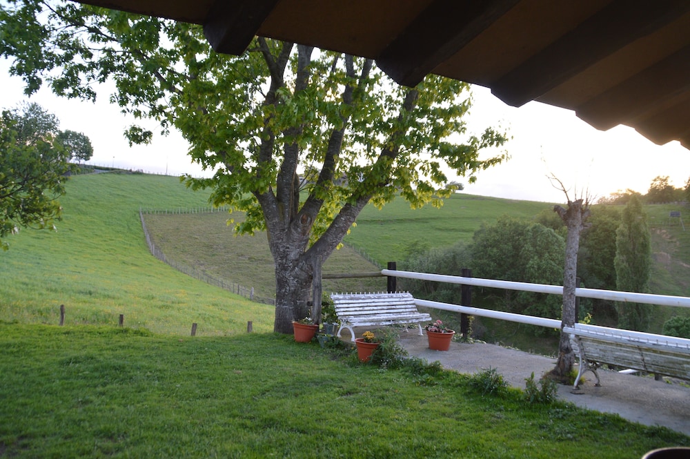 Photo 41
